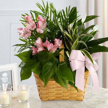 Living Spirit Dishgarden –  Maplewood Florist, Maplewood NJ