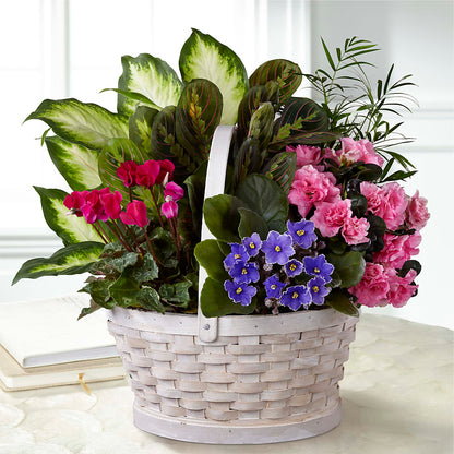 Peaceful Garden Planter –  Maplewood Florist, Maplewood NJ