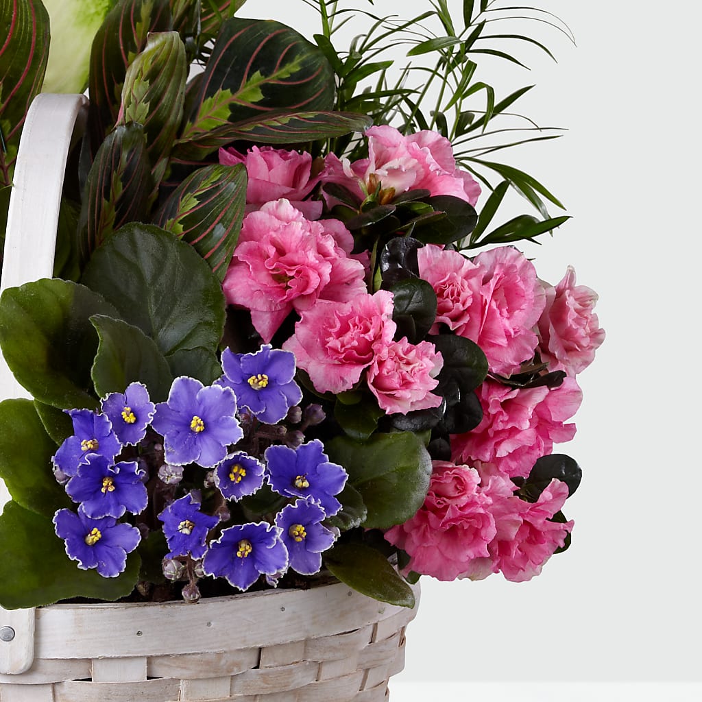 Peaceful Garden Planter –  Maplewood Florist, Maplewood NJ