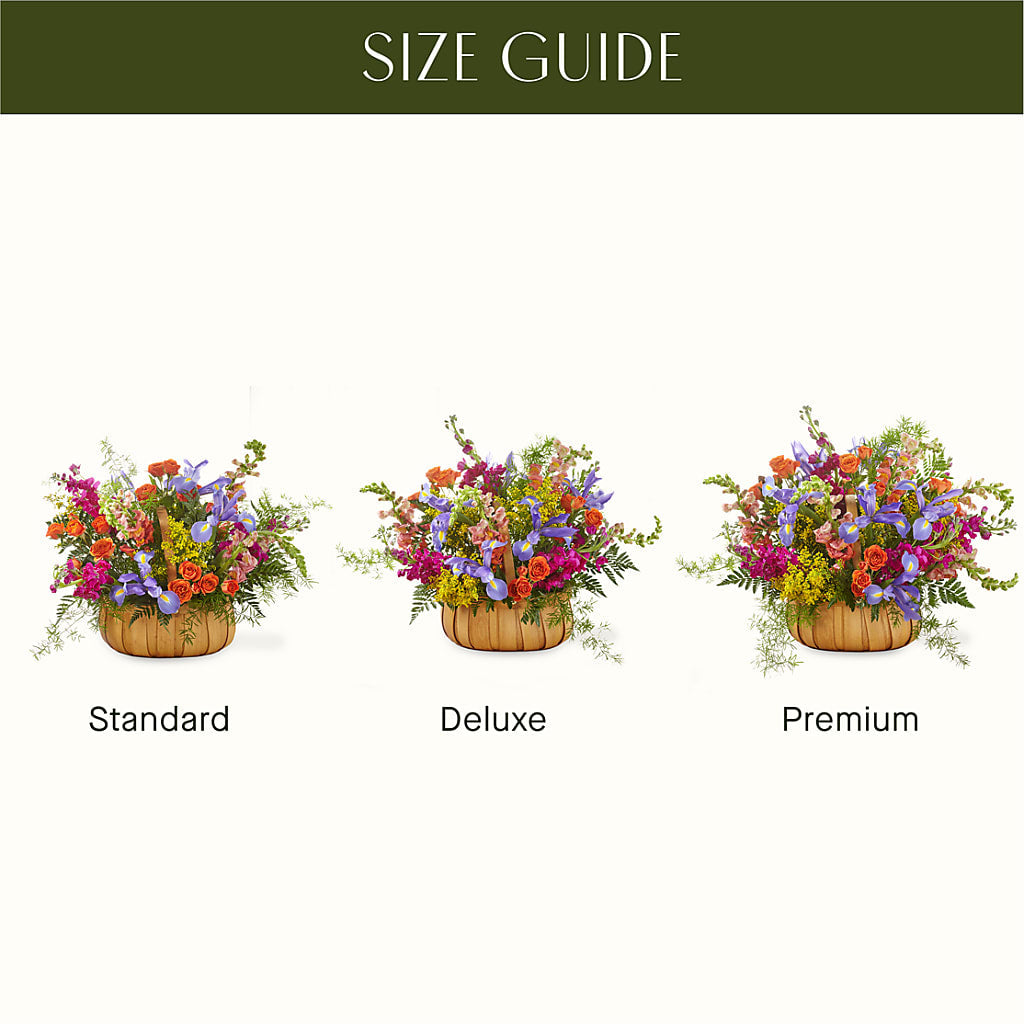 Garden of Life Basket –  Maplewood Florist, Maplewood NJ