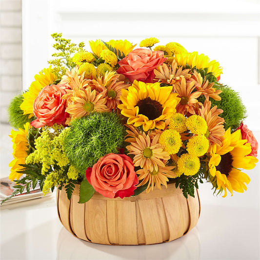 Harvest Sunflower Basket –  Maplewood Florist, Maplewood NJ
