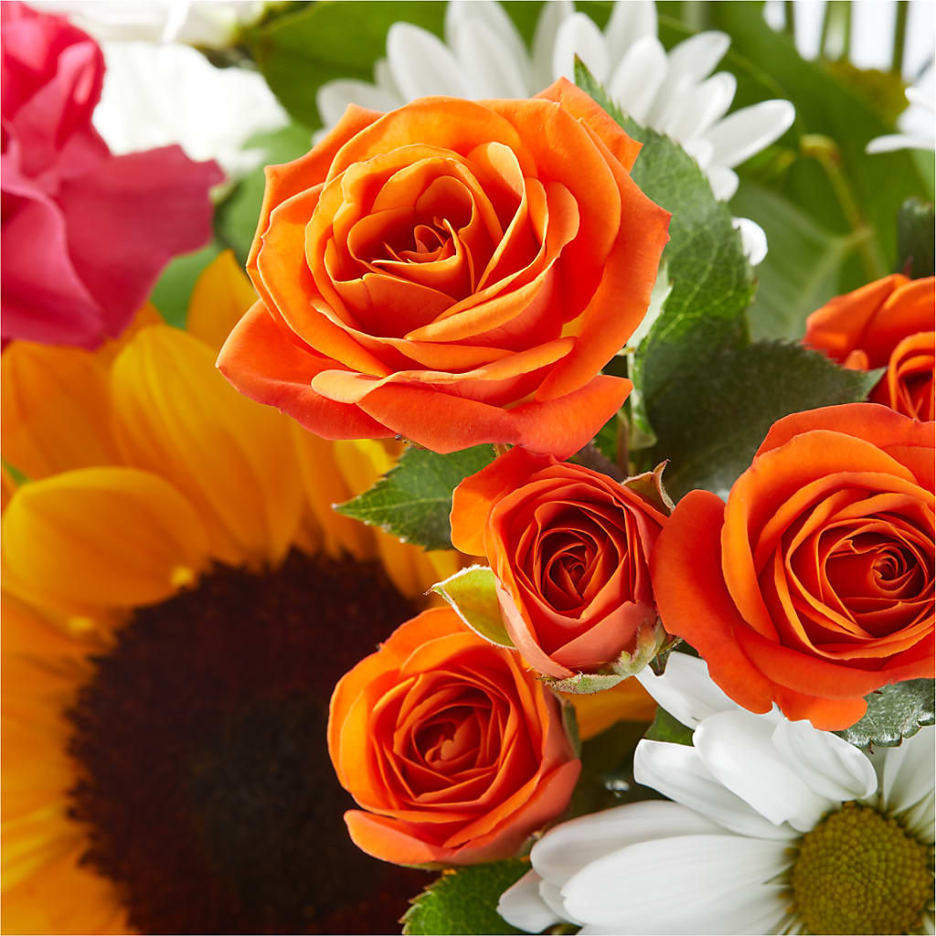 Sun-drenched Blooms Bouquet –  Maplewood Florist, Maplewood NJ