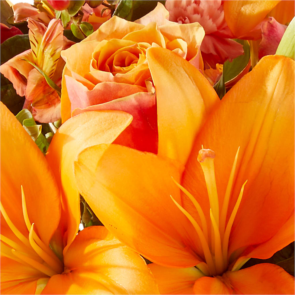 Afternoon Light Bouquet –  Maplewood Florist, Maplewood NJ