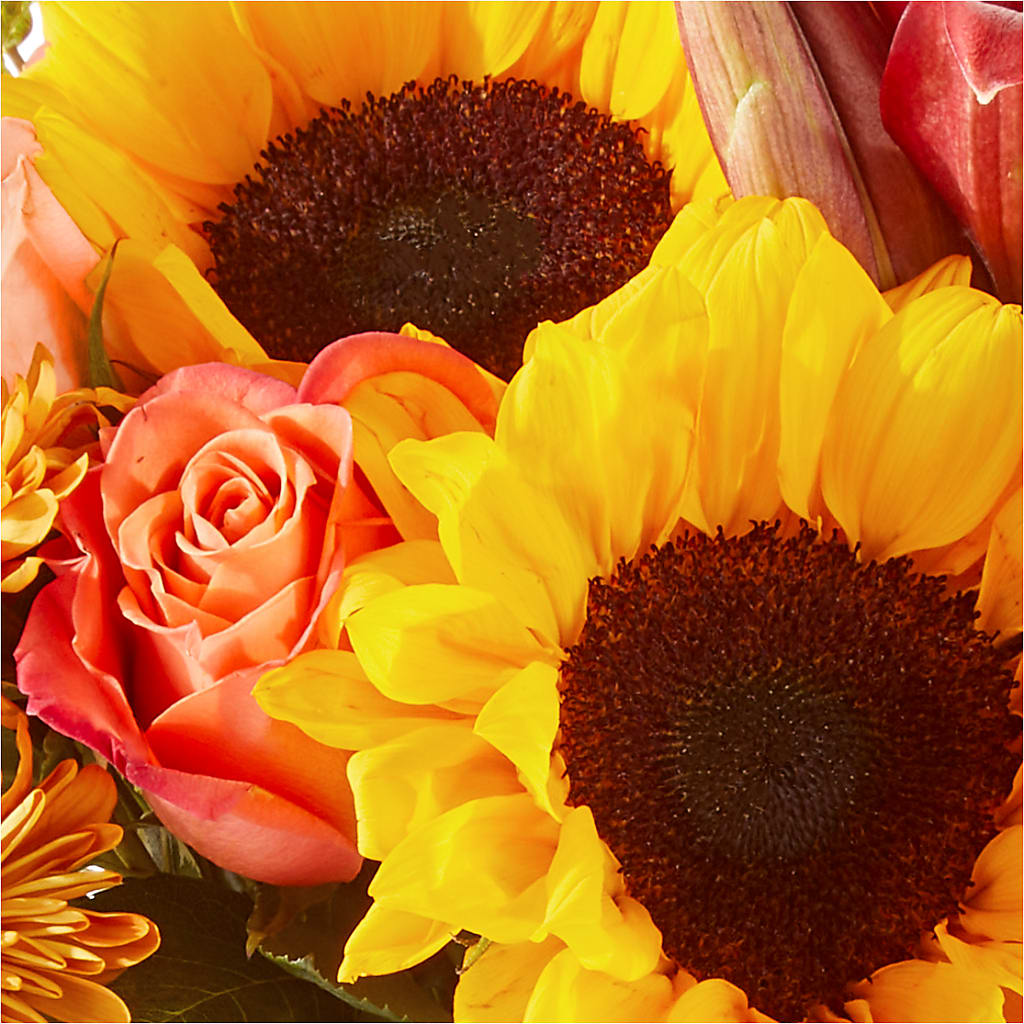 Acorn Lane Bouquet –  Maplewood Florist, Maplewood NJ