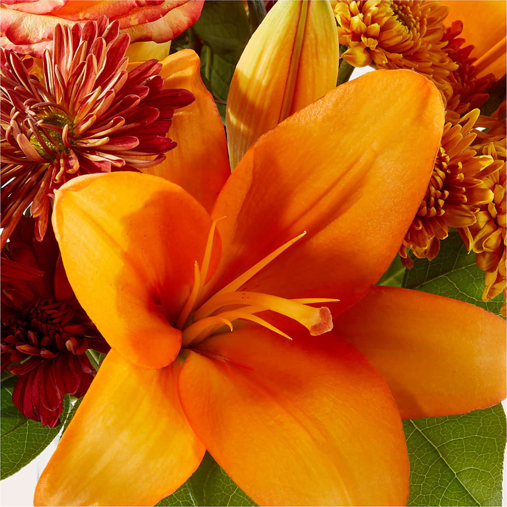 Autumnal Aroma Bouquet –  Maplewood Florist, Maplewood NJ