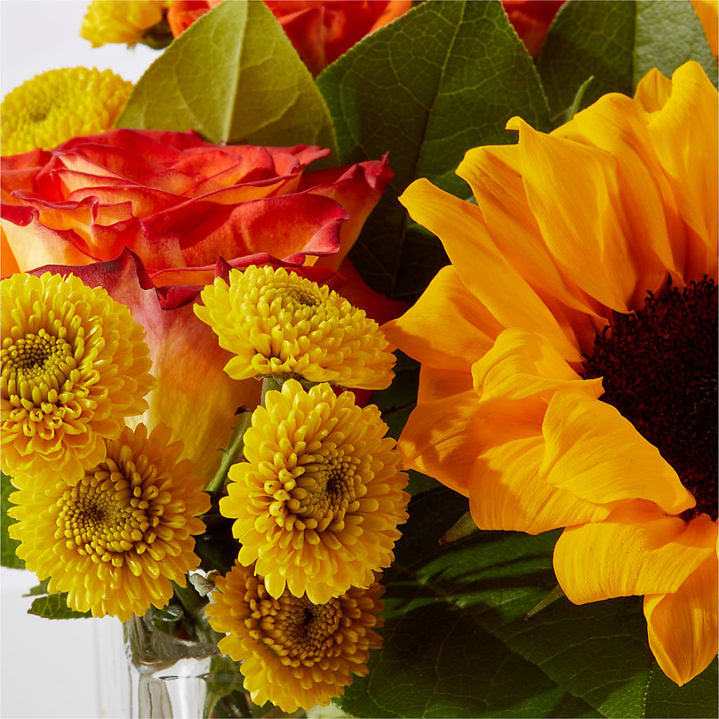 Picnic in the Park Bouquet –  Maplewood Florist, Maplewood NJ
