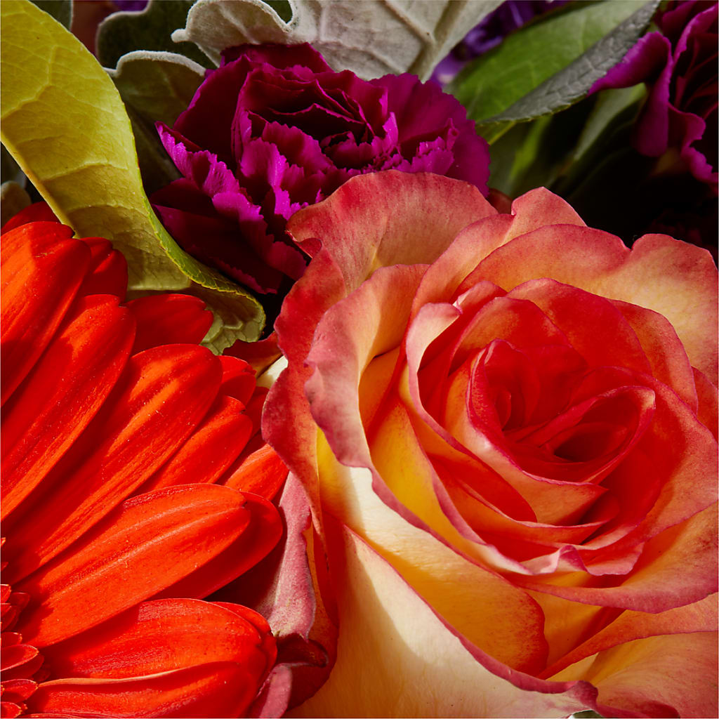 Sangria Bouquet –  Maplewood Florist, Maplewood NJ