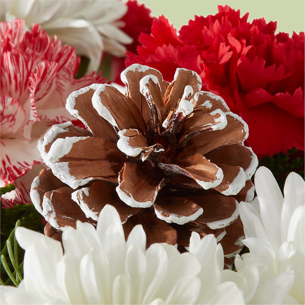 Candy Cane Lane Bouquet –  Maplewood Florist, Maplewood NJ