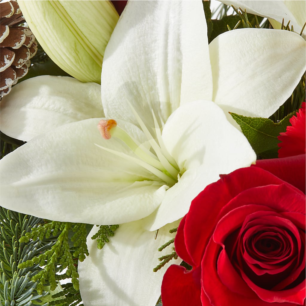 Oh So Jolly Bouquet –  Maplewood Florist, Maplewood NJ