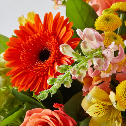 Autumn Sunshine Bouquet –  Maplewood Florist, Maplewood NJ