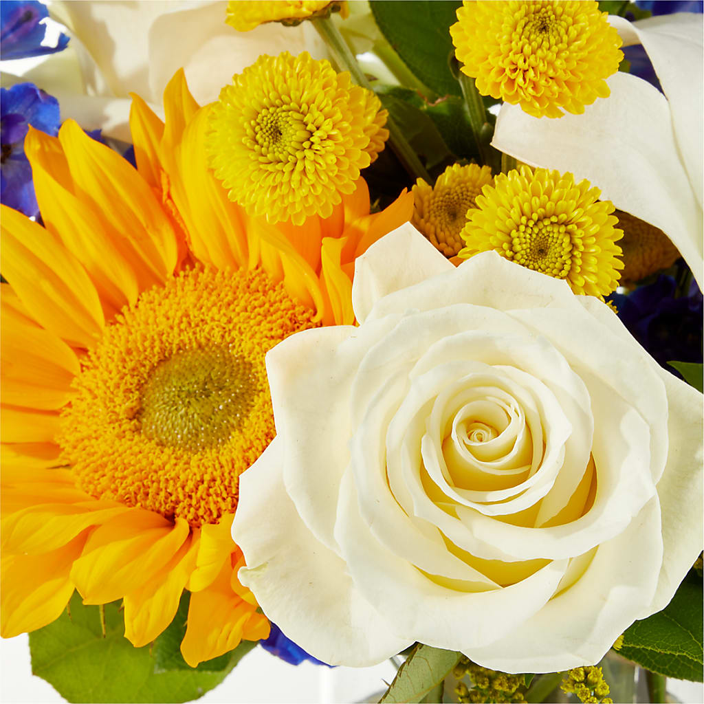 Stargazing Bouquet –  Maplewood Florist, Maplewood NJ