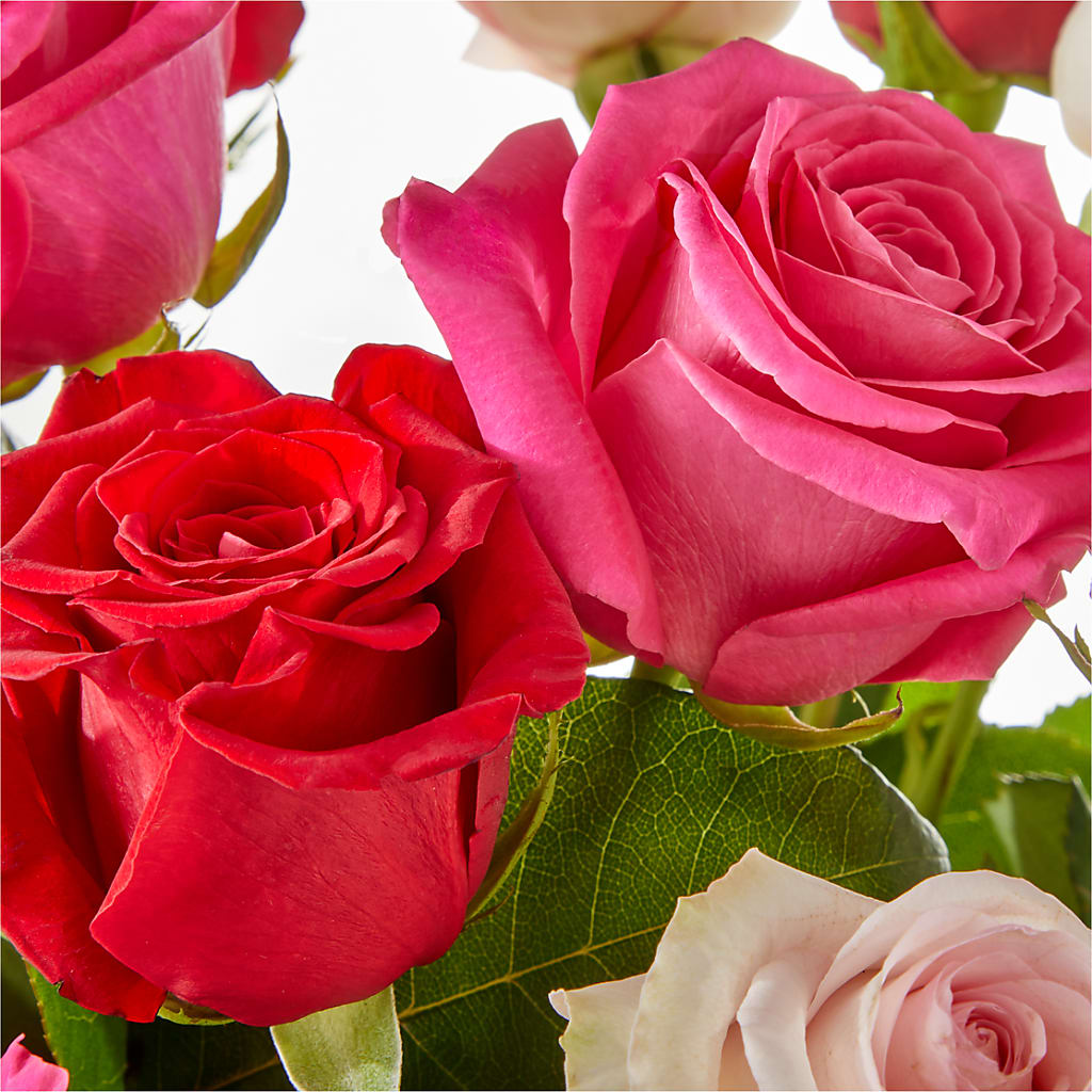 Charming Rose Bouquet –  Maplewood Florist, Maplewood NJ