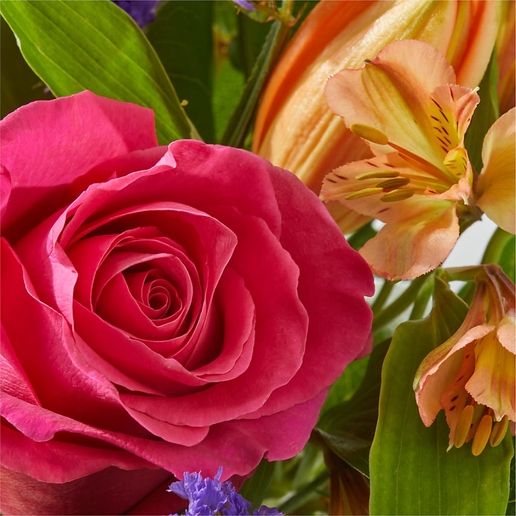 Joyful Bouquet –  Maplewood Florist, Maplewood NJ