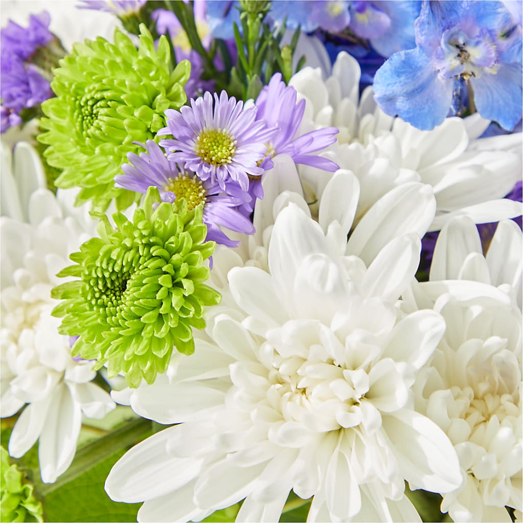 Genuine Gestures Bouquet –  Maplewood Florist, Maplewood NJ