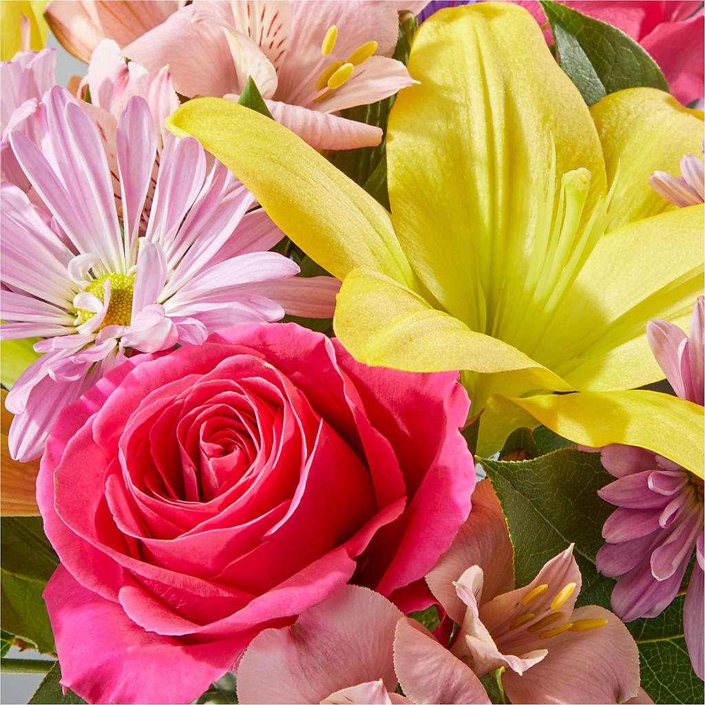 Sprinkles Bouquet –  Maplewood Florist, Maplewood NJ