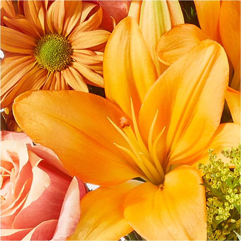 Harvest Hayride Bouquet –  Maplewood Florist, Maplewood NJ