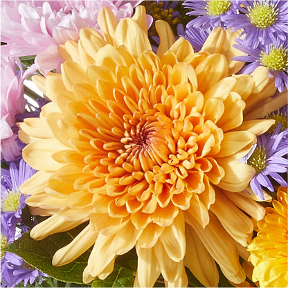 Countryside Bouquet –  Maplewood Florist, Maplewood NJ
