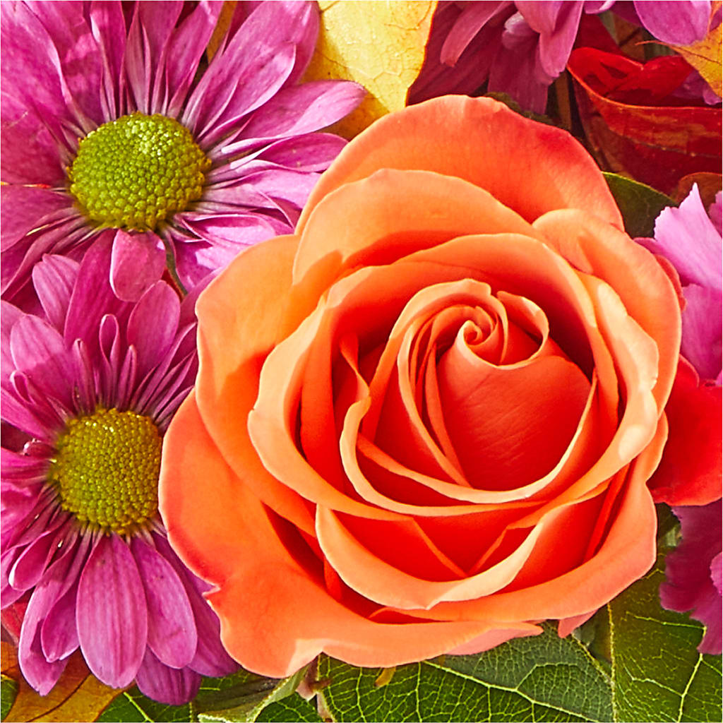 Mum's the Word Bouquet –  Maplewood Florist, Maplewood NJ