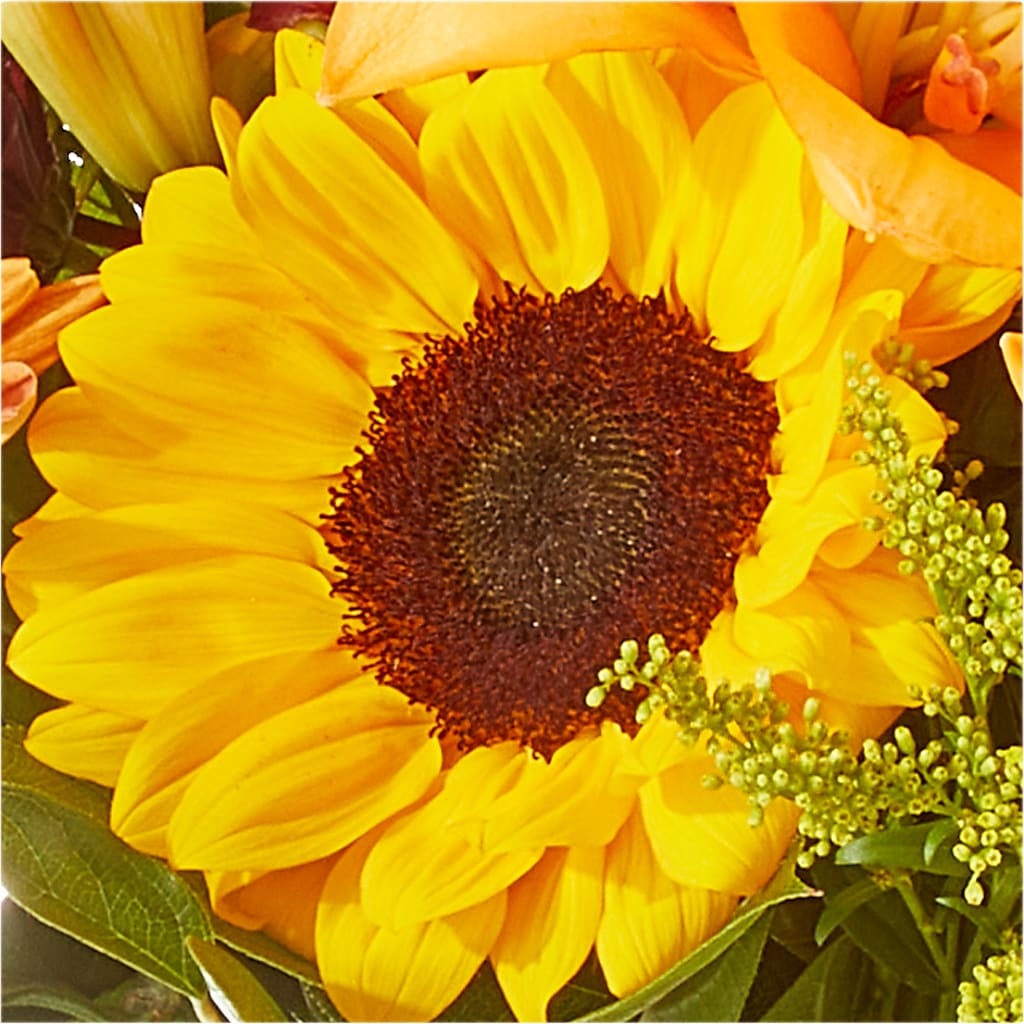 Seasons Change Bouquet –  Maplewood Florist, Maplewood NJ