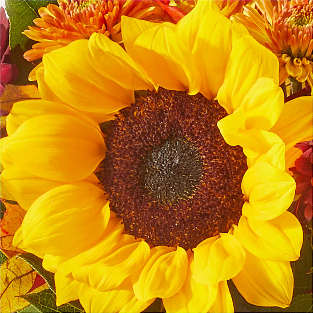 Sunny Side Bouquet –  Maplewood Florist, Maplewood NJ