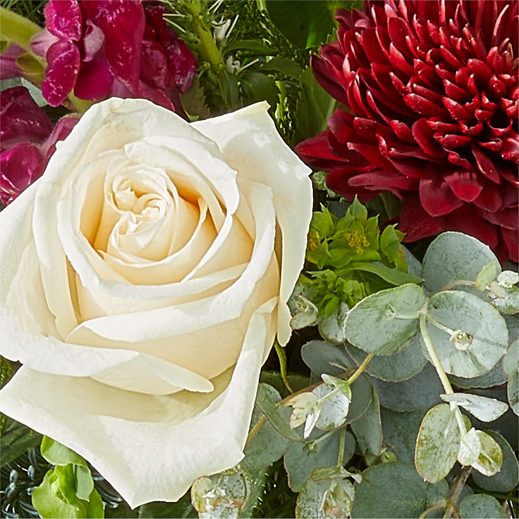 Cranberry Fizz Bouquet –  Maplewood Florist, Maplewood NJ