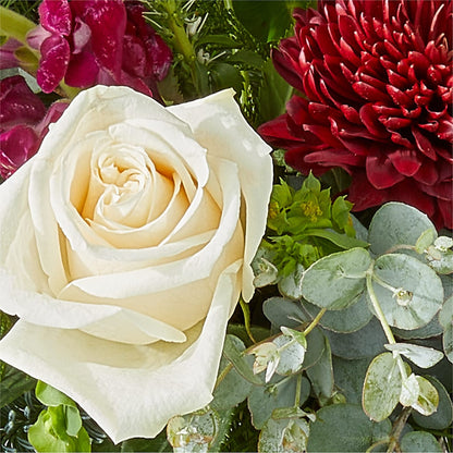 Cranberry Fizz Bouquet –  Maplewood Florist, Maplewood NJ