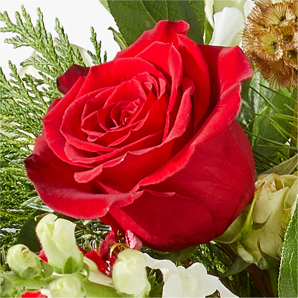 Deck the Halls Bouquet –  Maplewood Florist, Maplewood NJ