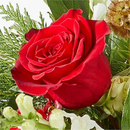 Deck the Halls Bouquet –  Maplewood Florist, Maplewood NJ