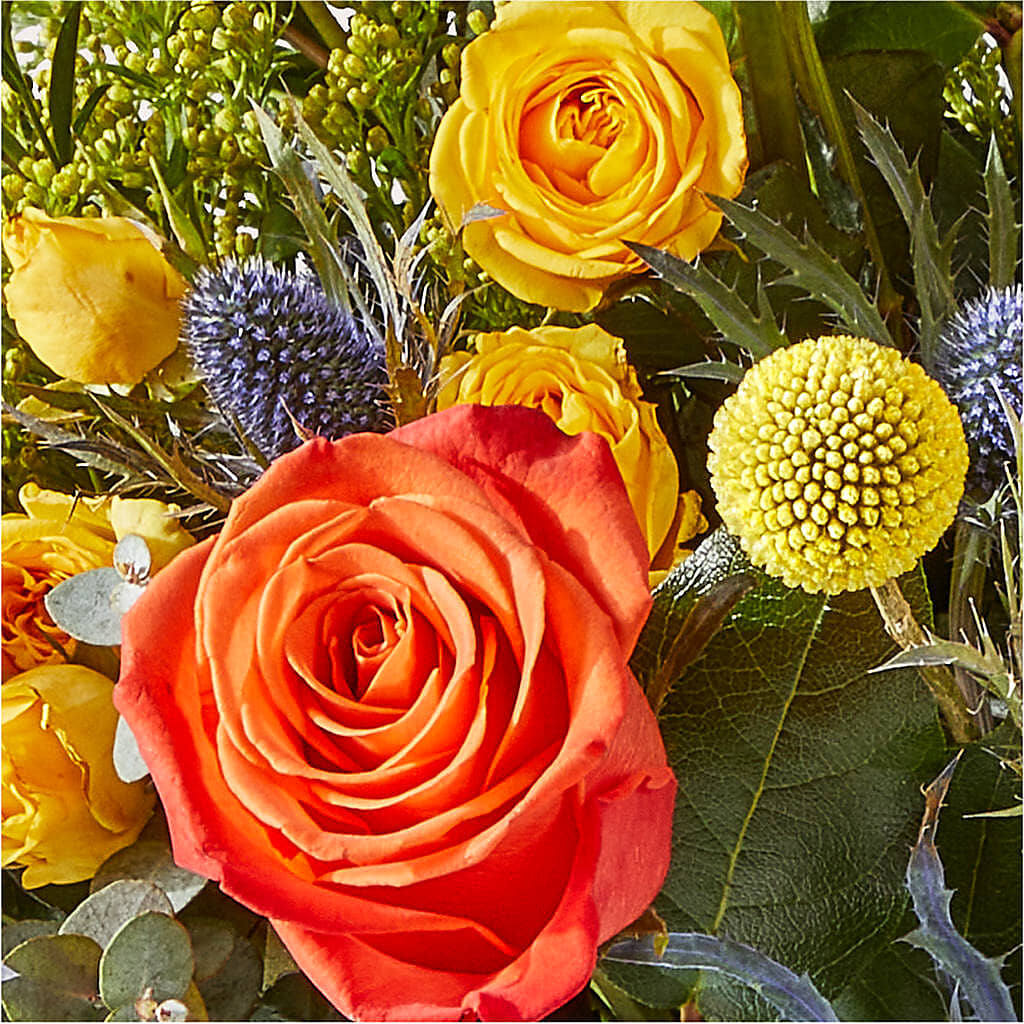 Disco Bouquet –  Maplewood Florist, Maplewood NJ
