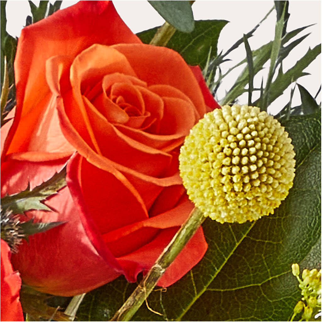 Disco Bouquet –  Maplewood Florist, Maplewood NJ