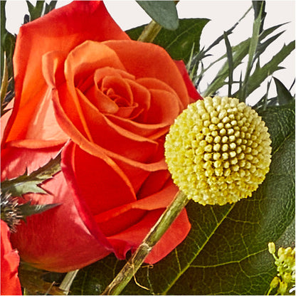 Disco Bouquet –  Maplewood Florist, Maplewood NJ