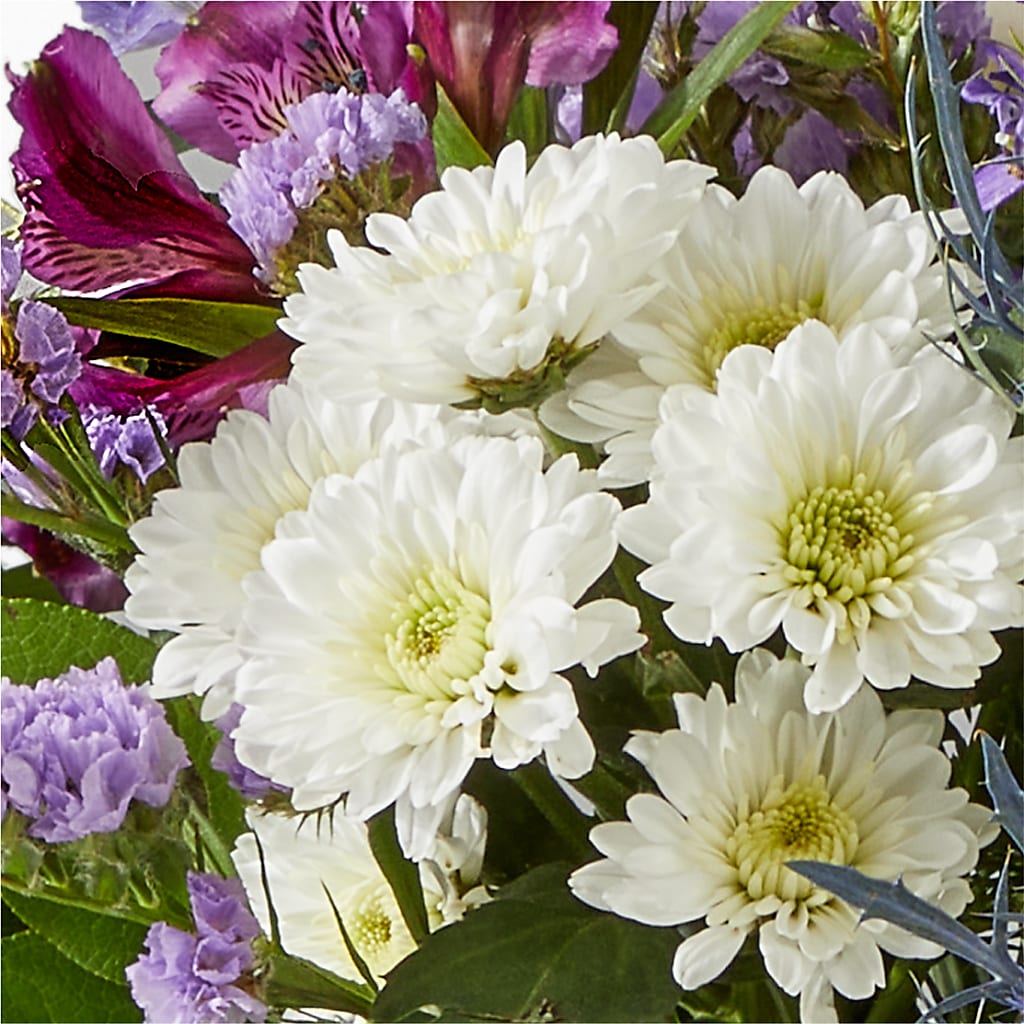 Shooting Star Bouquet –  Maplewood Florist, Maplewood NJ