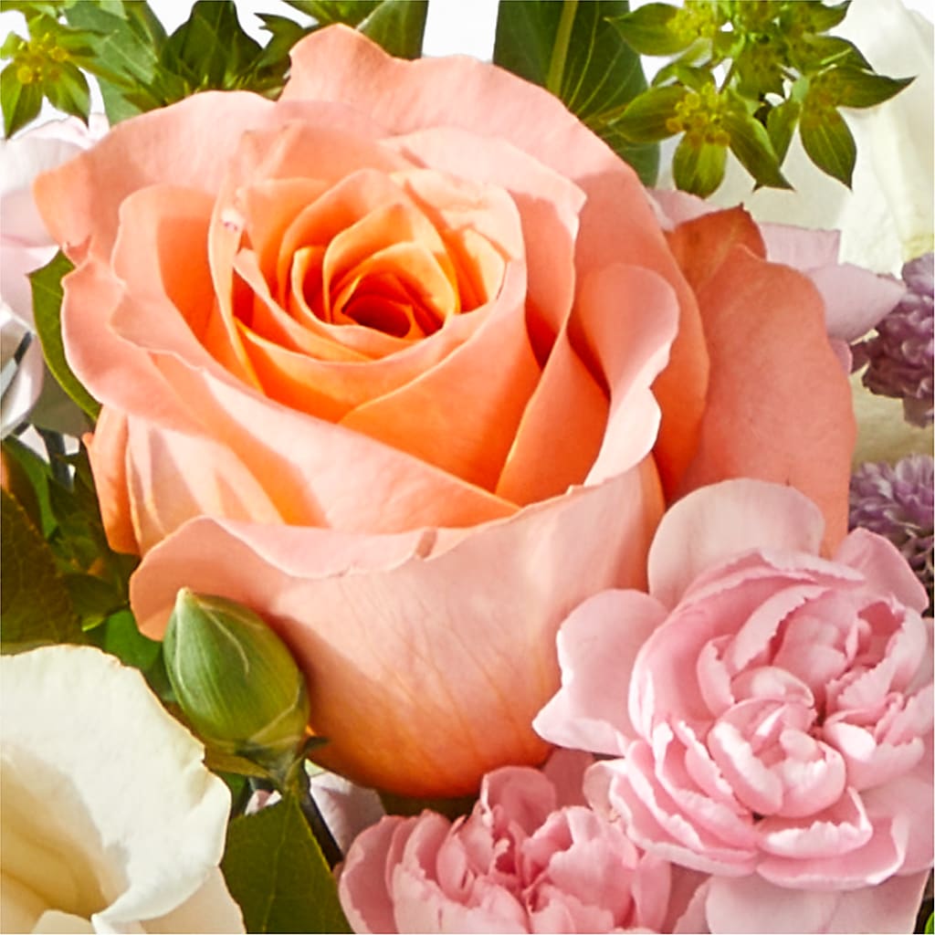 French Market Bouquet –  Maplewood Florist, Maplewood NJ