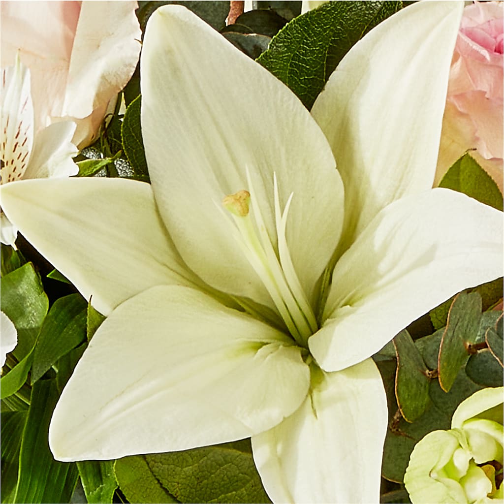 Ballet Slippers Bouquet –  Maplewood Florist, Maplewood NJ