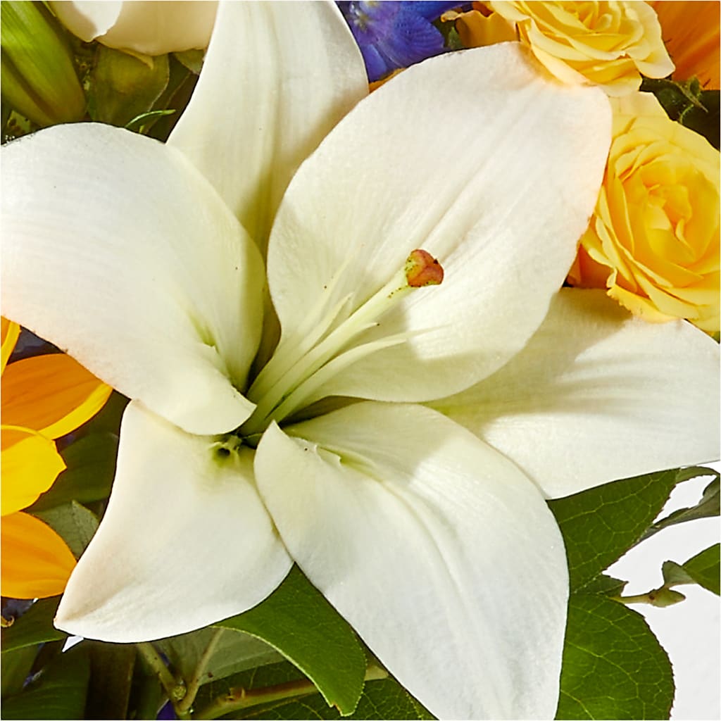 Wonderfully Sunny Bouquet –  Maplewood Florist, Maplewood NJ