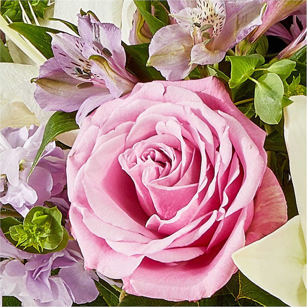 Daydreamer Bouquet –  Maplewood Florist, Maplewood NJ