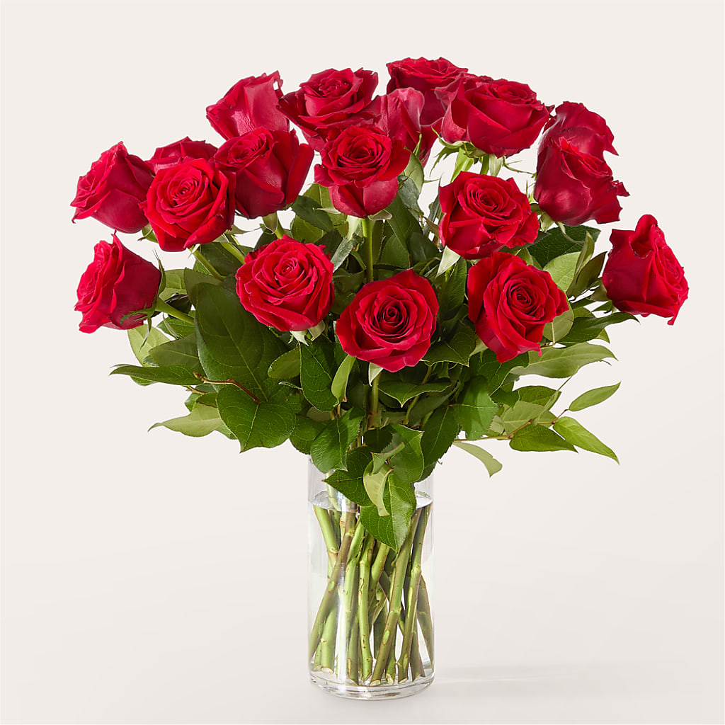 The One Red Rose Bouquet –  Maplewood Florist, Maplewood NJ