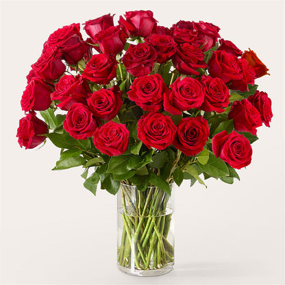 The One Red Rose Bouquet –  Maplewood Florist, Maplewood NJ