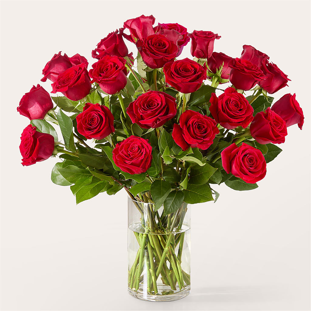 The One Red Rose Bouquet –  Maplewood Florist, Maplewood NJ