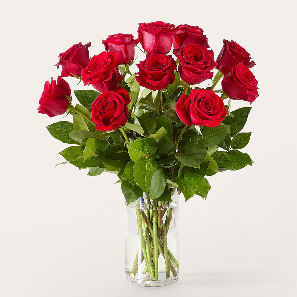 The One Red Rose Bouquet –  Maplewood Florist, Maplewood NJ