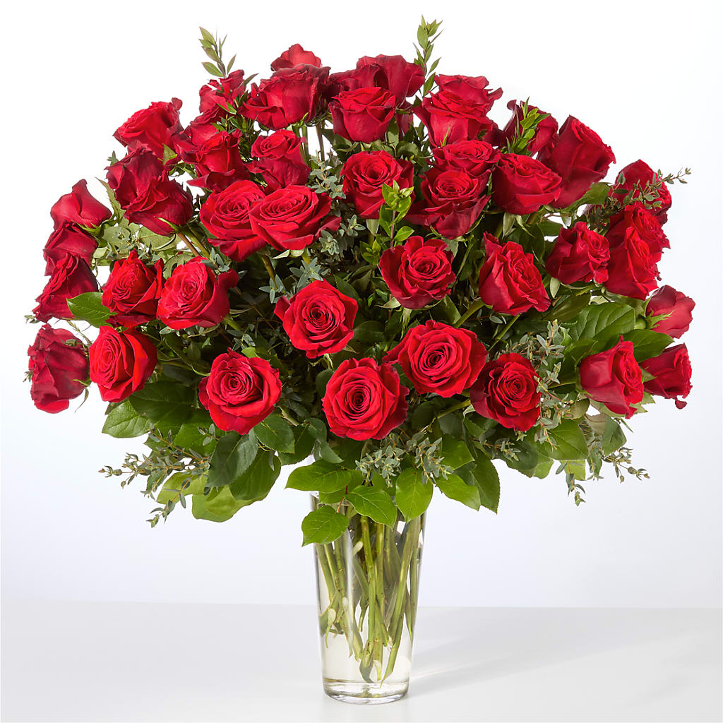 Forever Yours Fifty Stem Red Rose Bouquet –  Maplewood Florist, Maplewood NJ