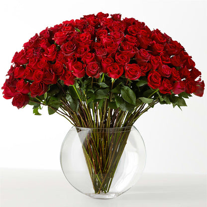 The Idealist –  Maplewood Florist, Maplewood NJ
