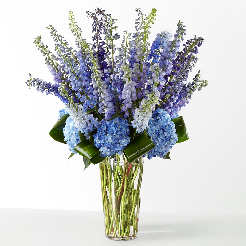 The Editorial –  Maplewood Florist, Maplewood NJ