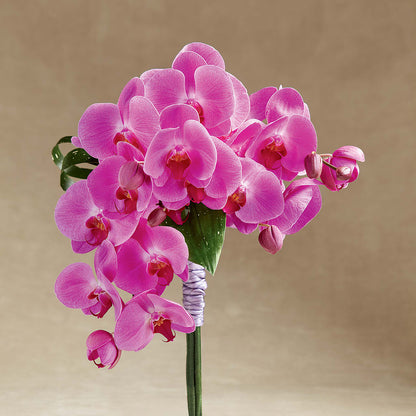 Glorious Bouquet –  Maplewood Florist, Maplewood NJ