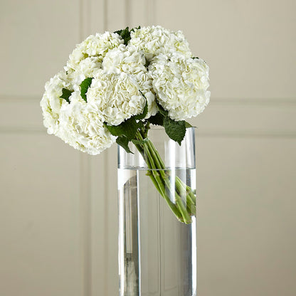 White Hydrangea Hand-Tied Bouquet –  Maplewood Florist, Maplewood NJ