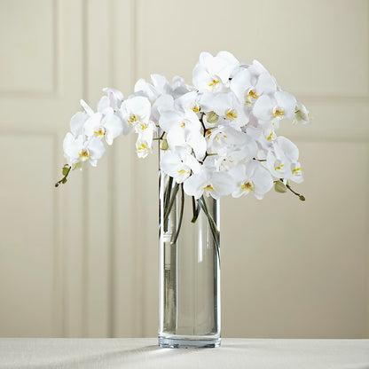 White Phalaenopsis Bouquet –  Maplewood Florist, Maplewood NJ