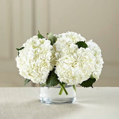 White Hydrangea Bouquet –  Maplewood Florist, Maplewood NJ