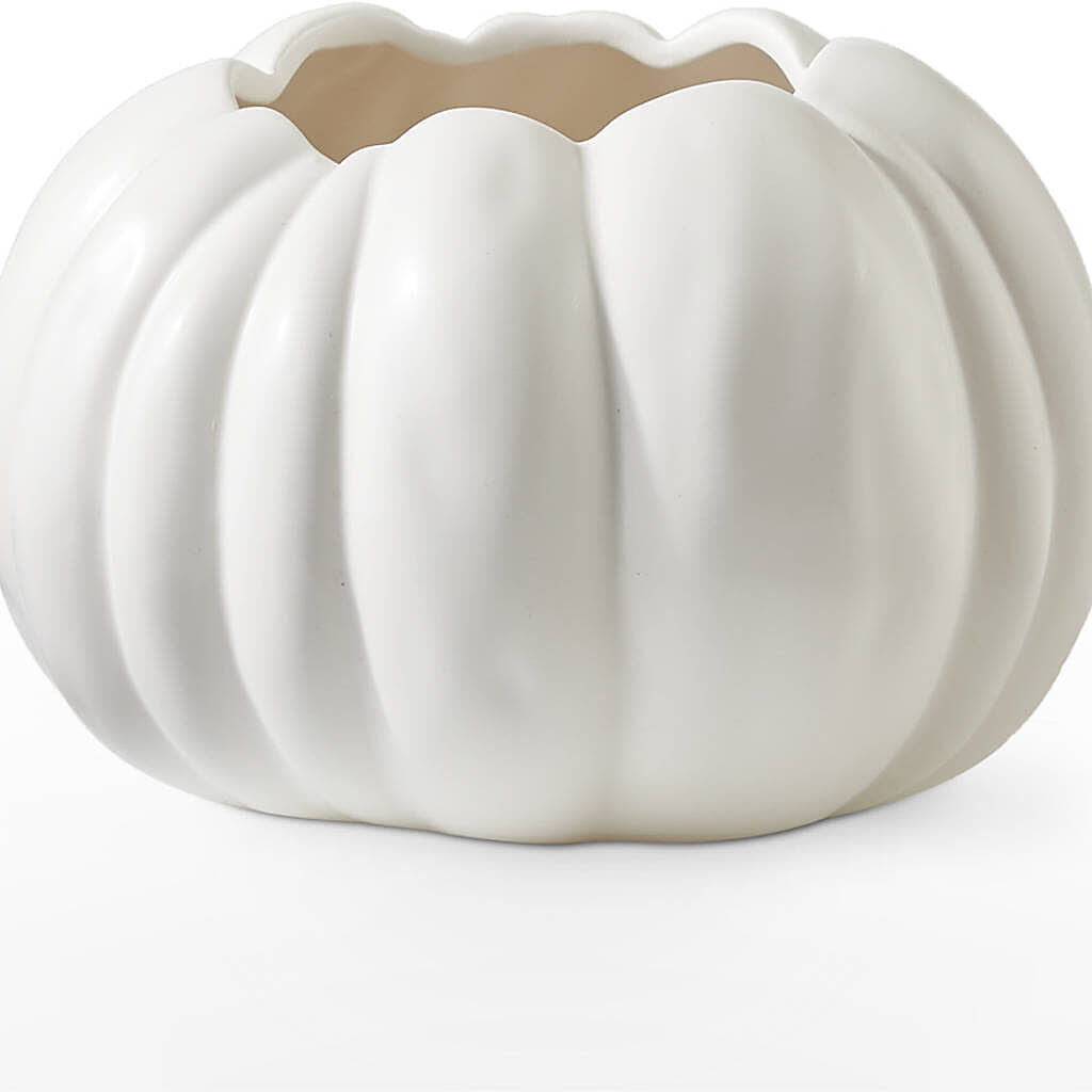 Pumpkin to Talk About Bouquet –  Maplewood Florist, Maplewood NJ
